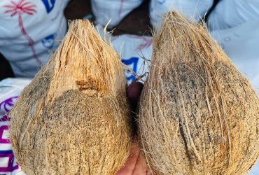 coconut